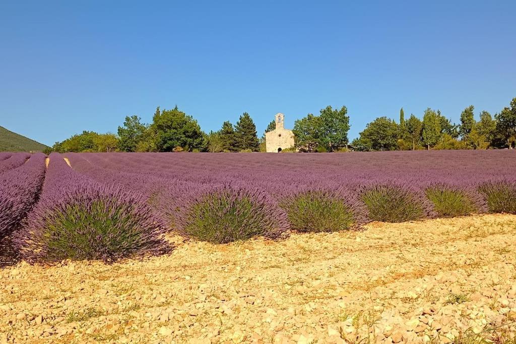 Le Mazet Sainte-Jalle, Piscine Chauffee, Jardin Clos, Barbecue En Baronnies Provencales Exterior foto